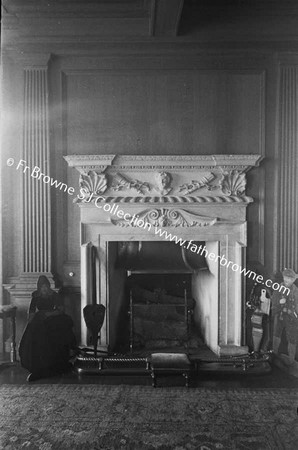 HOWTH CASTLE  FIREPLACE IN LIBRARY